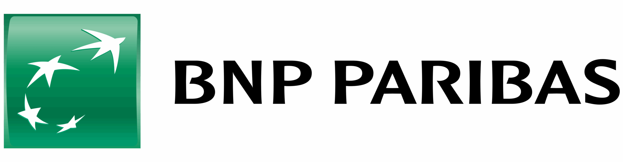 05-bnp-min